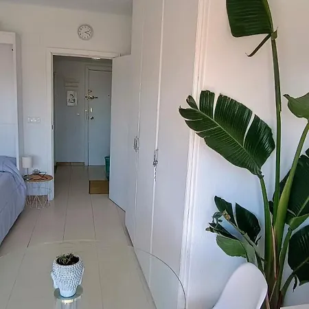 Apartment Estudio Centro Alicante